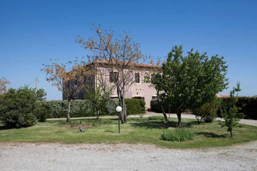 Agriturismo Podere Santa Virginia Albinia Luaran gambar